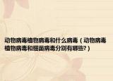 動物病毒植物病毒和什么病毒（動物病毒植物病毒和細(xì)菌病毒分別有哪些?）