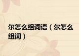 爾怎么組詞語（爾怎么組詞）