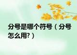 分號(hào)是哪個(gè)符號(hào)（分號(hào)怎么用?）
