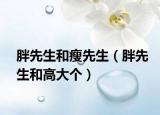 胖先生和瘦先生（胖先生和高大個(gè)）