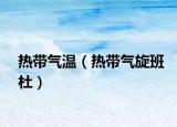 熱帶氣溫（熱帶氣旋班杜）