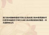 漓江的水很靜你感覺不到它在流動(dòng)漓江的水很清澈你可以看到河底的沙子和石頭漓江的水真的很綠好像是一塊無瑕的綠寶石