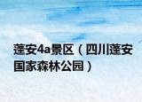 蓬安4a景區(qū)（四川蓬安國家森林公園）