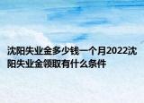 沈陽失業(yè)金多少錢一個月2022沈陽失業(yè)金領(lǐng)取有什么條件