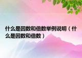 什么是因數(shù)和倍數(shù)舉例說明（什么是因數(shù)和倍數(shù)）