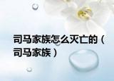 司馬家族怎么滅亡的（司馬家族）