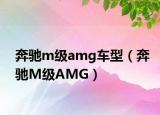 奔馳m級(jí)amg車型（奔馳M級(jí)AMG）