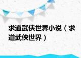 求道武俠世界小說(shuō)（求道武俠世界）