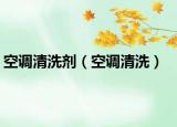 空調(diào)清洗劑（空調(diào)清洗）