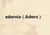 adornia（Adorn）
