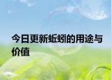 今日更新蚯蚓的用途與價(jià)值