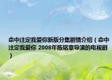 命中注定我愛(ài)你新版分集劇情介紹（命中注定我愛(ài)你 2008年陳銘章導(dǎo)演的電視?。? /></span></a>
                        <h2><a  title=