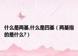 什么是兩基,什么是四基（兩基指的是什么?）