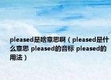 pleased是啥意思啊（pleased是什么意思 pleased的音標(biāo) pleased的用法）