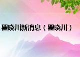 翟曉川新消息（翟曉川）
