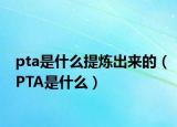 pta是什么提煉出來的（PTA是什么）