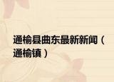 通榆縣曲東最新新聞（通榆鎮(zhèn)）