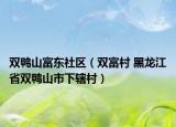 雙鴨山富東社區(qū)（雙富村 黑龍江省雙鴨山市下轄村）