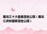 黑龍江十大最美濕地公園（黑龍江虎林國家濕地公園）