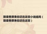 致青春原來你還在這里小說結(jié)局（致青春原來你還在這里）