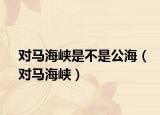 對馬海峽是不是公海（對馬海峽）