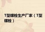 T型螺栓生產(chǎn)廠家（T型螺栓）