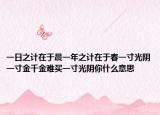 一日之計(jì)在于晨一年之計(jì)在于春一寸光陰一寸金千金難買一寸光陰你什么意思