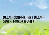 史上第一寵婚小說下載（史上第一寵婚 天下飄紅所著小說）