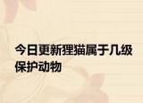 今日更新貍貓屬于幾級(jí)保護(hù)動(dòng)物
