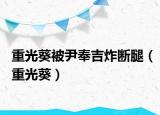 重光葵被尹奉吉炸斷腿（重光葵）