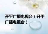 開平廣播電視臺（開平廣播電視臺）