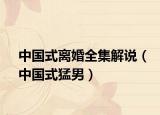 中國式離婚全集解說（中國式猛男）