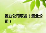 置業(yè)公司取名（置業(yè)公司）