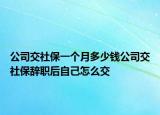 公司交社保一個(gè)月多少錢(qián)公司交社保辭職后自己怎么交
