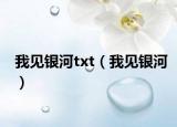 我見銀河txt（我見銀河）