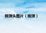 核彈頭圖片（核彈）