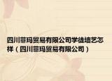 四川菲瑪貿(mào)易有限公司學(xué)徒墻藝怎樣（四川菲瑪貿(mào)易有限公司）