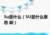 5u是什么（5U是什么意思 ?。? /></span></a>
                        <h2><a href=