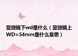 顯微鏡下wd是什么（顯微鏡上WD=54mm是什么意思）