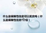 什么是保障性住房可以買賣嗎（什么是保障性住房?介紹）