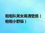 啦啦隊美女高清壁紙（啦啦小野貓）