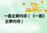 一面主要內容（《一面》 主要內容）