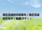 現(xiàn)在完成時態(tài)的造句（現(xiàn)在完成時態(tài)句子（我要20個））