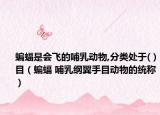 蝙蝠是會(huì)飛的哺乳動(dòng)物,分類(lèi)處于( )目（蝙蝠 哺乳綱翼手目動(dòng)物的統(tǒng)稱(chēng)）