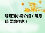明月珰小說介紹（明月珰 網絡作家）