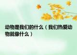 動物是我們的什么（我們熱愛動物就像什么）