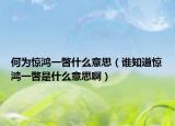 何為驚鴻一瞥什么意思（誰知道驚鴻一瞥是什么意思?。? /></span></a>
                        <h2><a href=