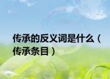 傳承的反義詞是什么（傳承條目）