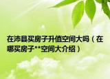 在沛縣買房子升值空間大嗎（在哪買房子**空間大介紹）