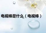 電視棒是什么（電視棒）